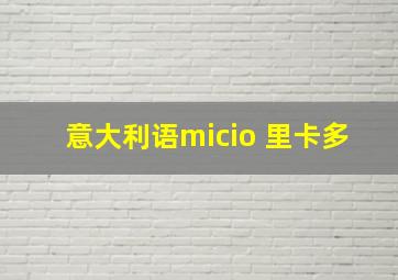 意大利语micio 里卡多